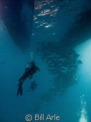 Divers and trevally under the boat.  Coral Sea.  Canon G-10 by Bill Arle 